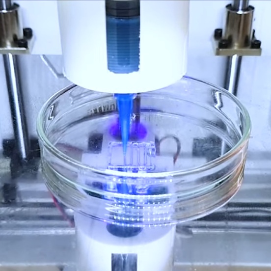 Bioprinted Tissue Slide